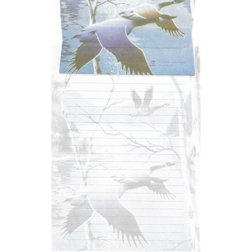 Conjunto de Papel de Carta Antigo Importado DASEN 3016B