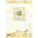 CAPA & Conjunto de Papel de Carta Shinn Jee Flower P180173-9