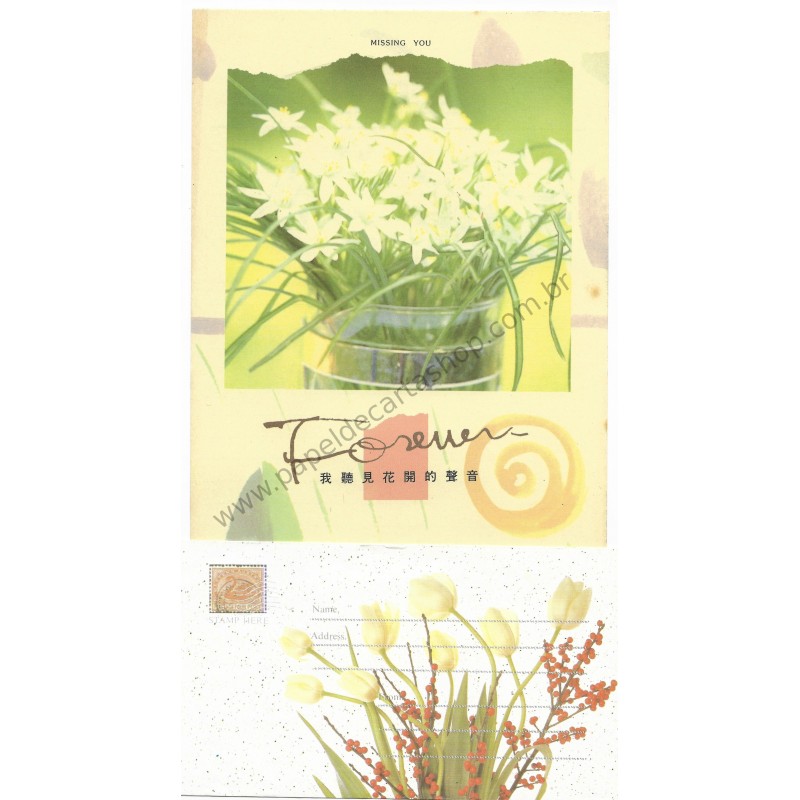 Conjunto de Papel de Carta Antigo Importado FOREVER Yogi LS1005-2