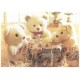 Conjunto de Papel de Carta Importado Bear's Family 2 Litte Fancy