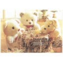 Conjunto de Papel de Carta Importado Bear's Family 2 Litte Fancy