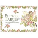 Postal Importado Flower Fairies The Apple Blossom