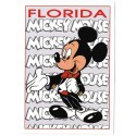 Postcard Antigo Vintage Disney Mickey"s Florida Collection 48FL