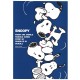 CAPA & Kit 3 Papéis de Carta Snoopy Vintage Hallmark Japan