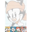 Papel de Carta Avulso ANIMANIACS TM & Warner Bros. 1997 0548TE