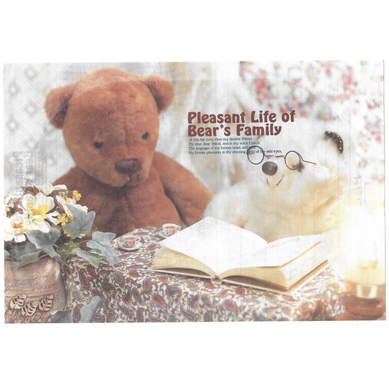 Conjunto de Papel de Carta Importado Bear's Family 6 Litte Fancy