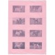 Conjunto de Papel de Carta Antigo Importado DOGS Pink