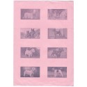 Conjunto de Papel de Carta Antigo Importado DOGS Pink