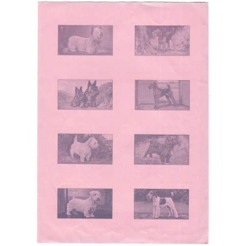 Conjunto de Papel de Carta Antigo Importado DOGS Pink