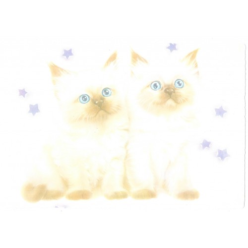 Conjunto de Papel de Carta Vintage CATS Lyric Japan