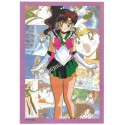 Conjunto de Papel de Carta Sailormoon LS-1001-2 25