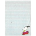 Papel de Carta ANTIGO SNOOPY CAZ 5 Hallmark CROWN