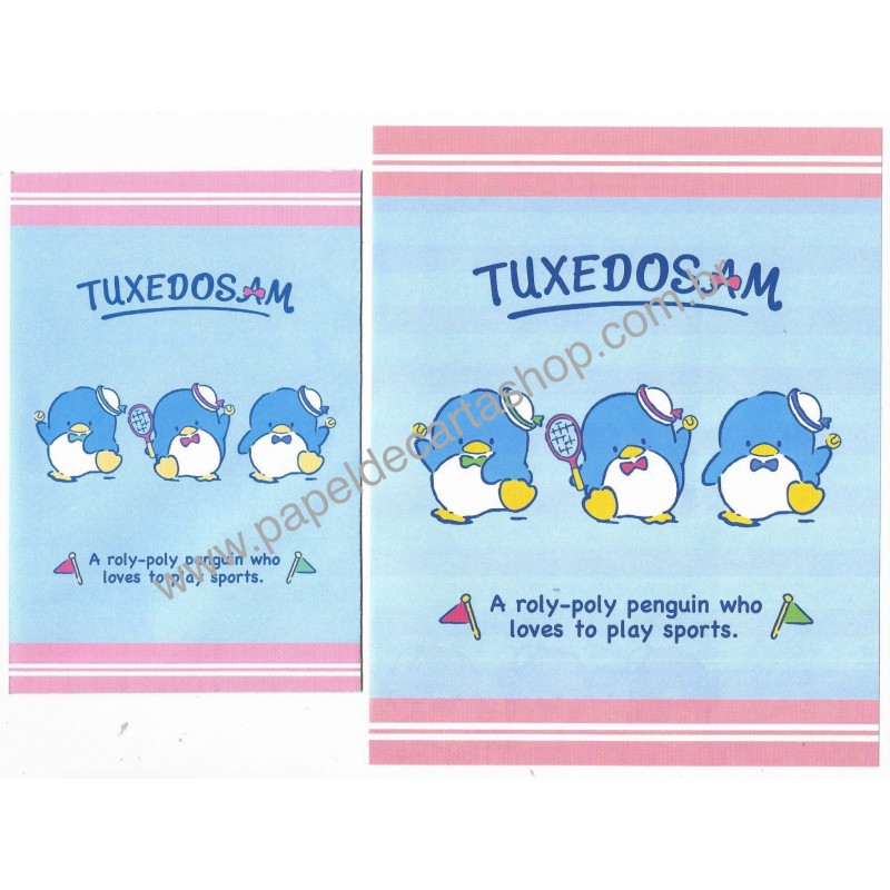 Ano 2020. Conjunto de Papel de Carta Tuxedosam Sanrio