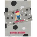 Conjunto de Papel de Carta Charlie Brown Antigo (Vintage) - Peanuts
