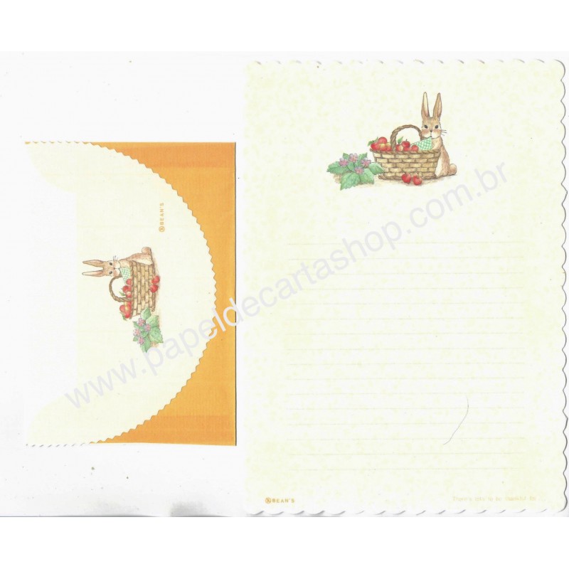 Conjunto de Papel de Carta Importado Rabbit CAM BEAN'S Japão