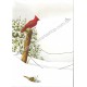 Postalete Antigo Importado Red Bird