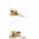 Conjunto de Papel de Carta Importado Bear P Richter