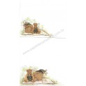 Conjunto de Papel de Carta Importado Bear P Richter