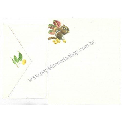 Conjunto de Papel de Carta Importado Castor Hallmark