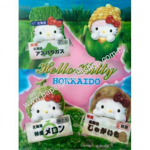 Ano 2003. Pasta L Colecionável Hello Kitty Regional Gotochi Kitty 23