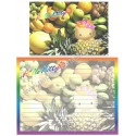 Ano 2002. Conjunto de Papel de Carta Hello Kitty Hawaii Frutas Sanrio