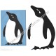 Conjunto de Papel de Carta Importado Penguin CAZ DC