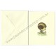 Kit 2 Notecards Antigos Importados Denise EATON