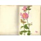 Pasta de Postalettes Antigos Just a Notes Butterfly LKPowell Current