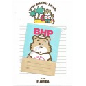 Conjunto de Papel de Carta Vintage BHP CAZ Florida Ann Co JAPAN