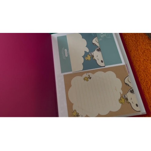 Pasta & Coleção Snoopy PEANUTS Hallmark Japan