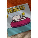 Calendários Importados PEANUTS Originais