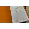 Pasta & Coleção de Papéis de Carta Antigos Originais do Japão
