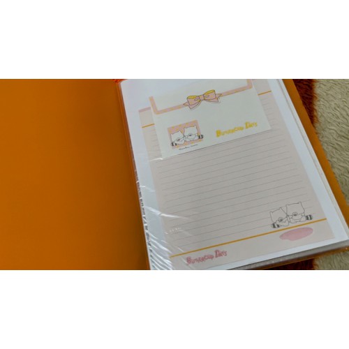 Pasta & Coleção de Papéis de Carta Antigos Originais do Japão