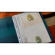 Pasta & Coleção de Papeis de Carta Japoneses Menininhas 2