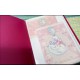 Pasta & Coleção de Papéis de Carta Personagens Sanrio Recentes Z
