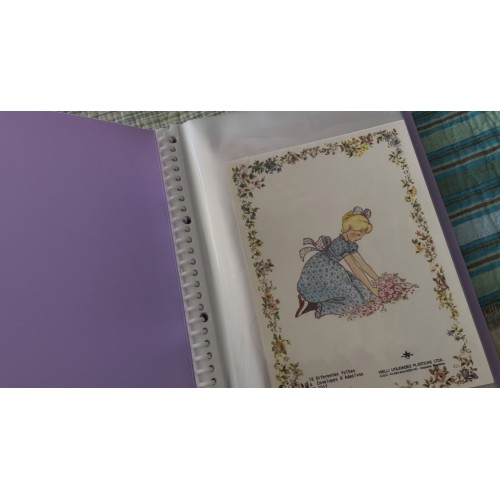 Pasta & Coleção de Papéis de Carta Antigos Wanda Cardin e outros