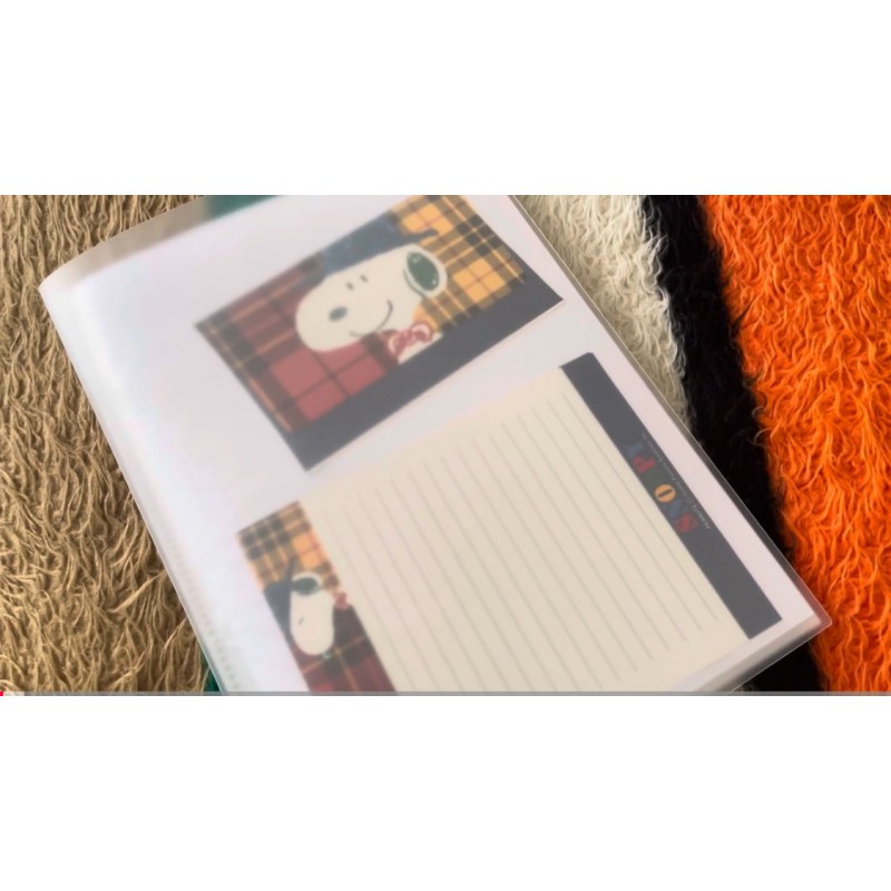 Pasta & Coleção Snoopy PEANUTS Hallmark Japan