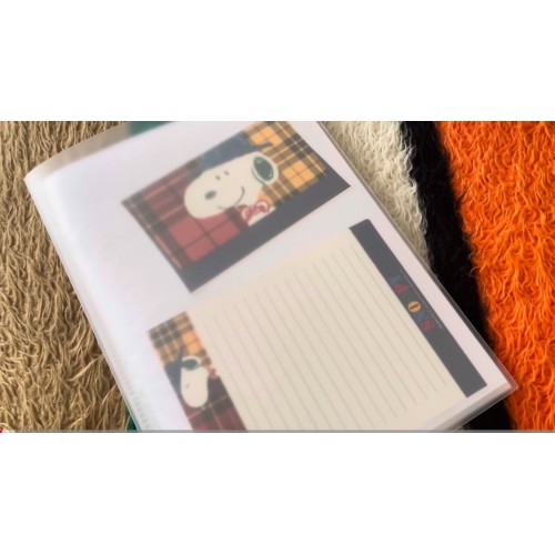 Pasta & Coleção Snoopy PEANUTS Hallmark Japan