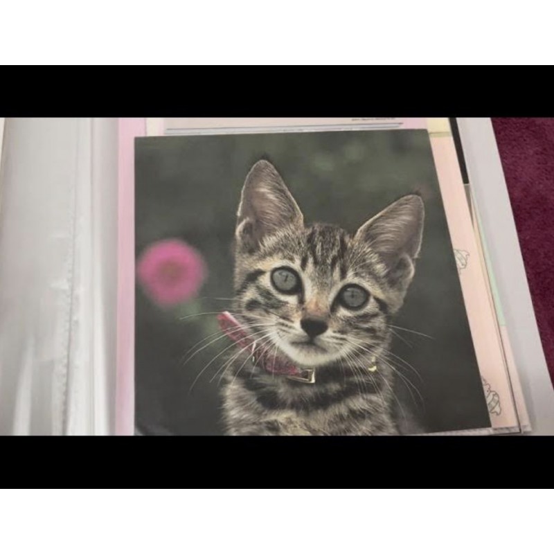 Jóias da Coleção: Papeis de Carta Antigos Asiáticos