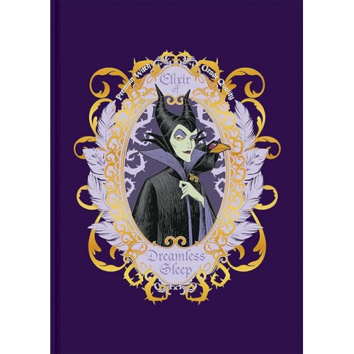 Caderno Colegial Vilões Disney Malévola Animativa