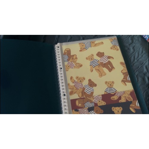 Pasta & Coleção de Papéis de Carta Vintage Sanrio Bears